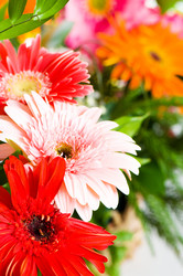 Similar image 241091