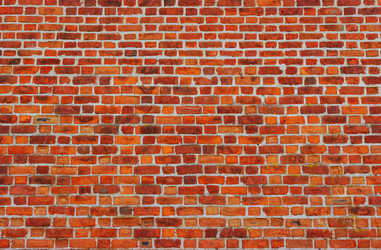 Similar image 241134