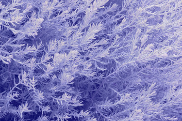 Similar image 241138