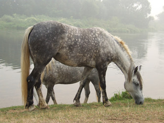 Similar image 241173