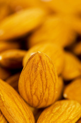 Similar image 241198