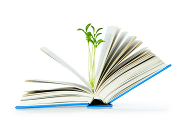 Similar image 241251