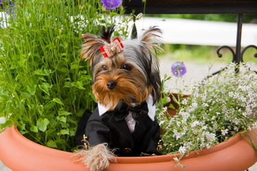 Similar image 241263