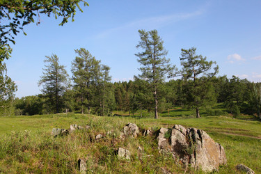 Similar image 241274