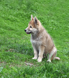 Similar image 241277