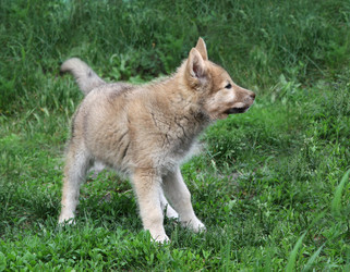 Similar image 241279