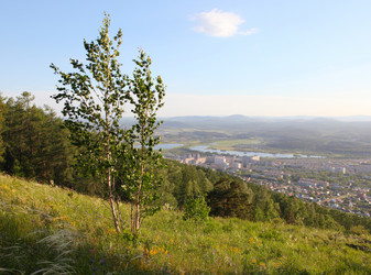 Similar image 241283