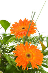 Similar image 241285