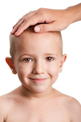 Similar image 241290