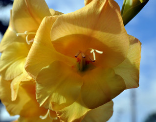 Similar image 241299