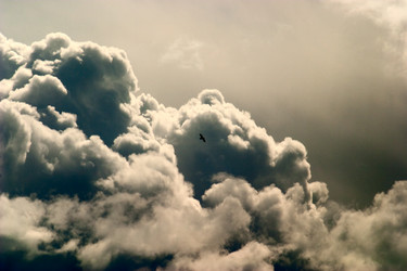 Similar image 241309