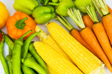 Similar image 241334