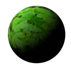 Similar image 241362