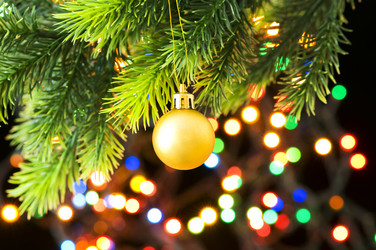 Similar image 241363