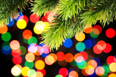 Similar image 241364