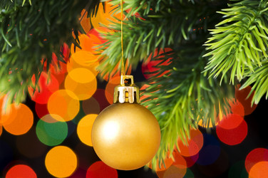 Similar image 241365