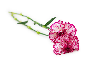 Similar image 241417