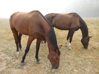 Similar image 241426