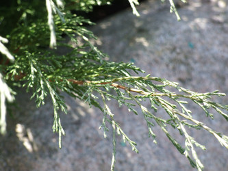 Similar image 241440