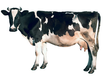 Similar image 241458