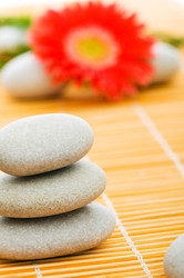 Similar image 241463