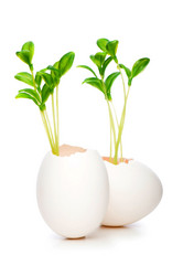 Similar image 241473