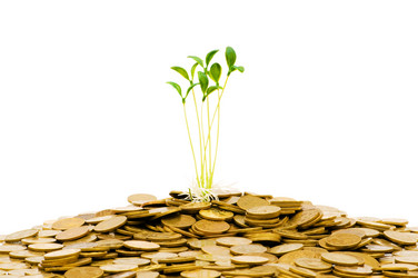 Similar image 241517