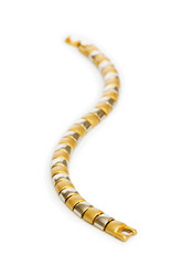 Similar image 241537