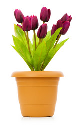 Similar image 241543