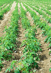 Similar image 241558