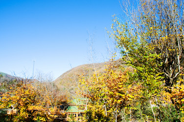 Similar image 241578