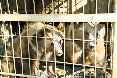 Similar image 241583