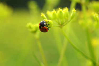 Similar image 241593