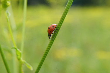 Similar image 241594