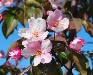 Similar image 241613