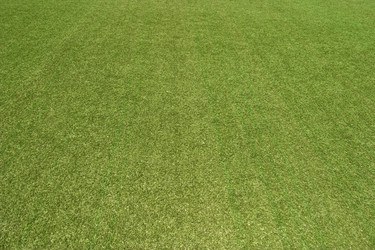 Similar image 241614