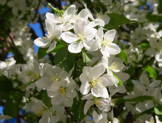 Similar image 241615