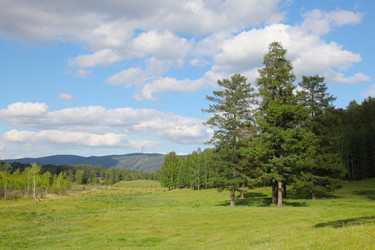 Similar image 241664