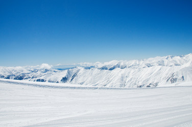 Similar image 241681