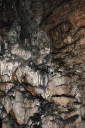 Similar image 241690