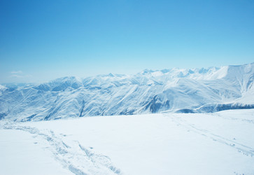 Similar image 241691