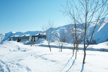 Similar image 241693