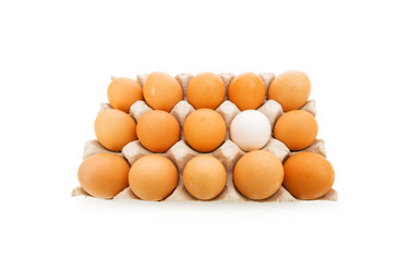 Similar image 241707