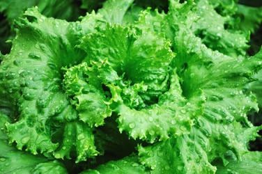 Similar image 241718