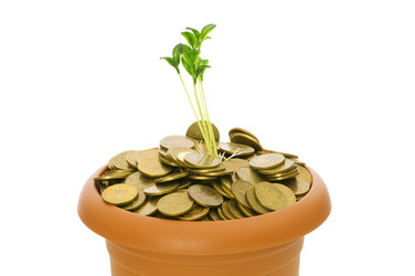 Similar image 241720