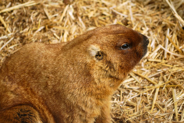 Similar image 241763