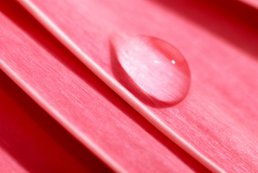 Similar image 241769