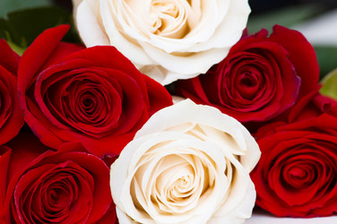 Similar image 241841