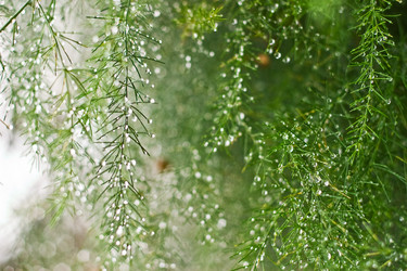 Similar image 241846