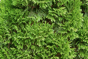 Similar image 241856